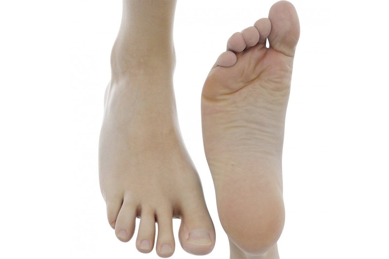 C4D模型-男人脚模型男性脚模型C4D模型下载