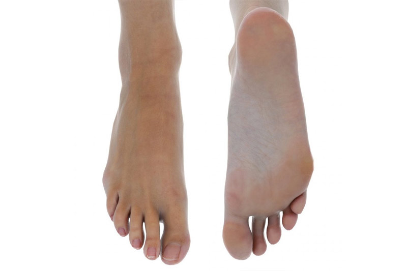 C4D模型-女脚模型女性脚模型C4D模型下载