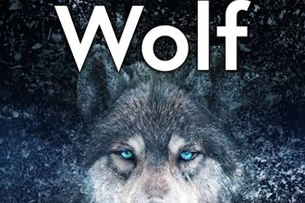 音效素材-90个免费狼群嚎叫咆哮声音效素材 Wolf Sound Effects