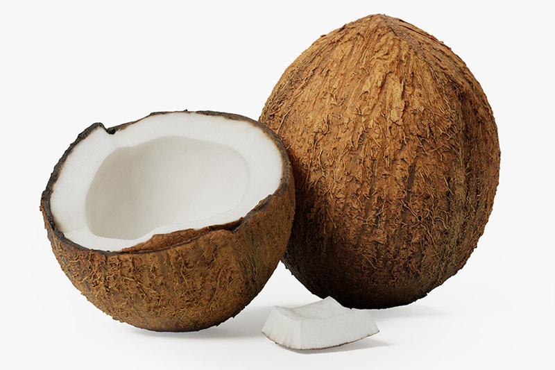 3D模型-椰子模型水果模型3D模型下载