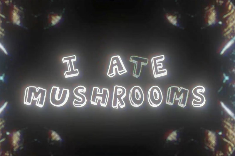 AE插件-人工智能AI神经网络图像生成器 I Ate Mushrooms v1.6.24 Win