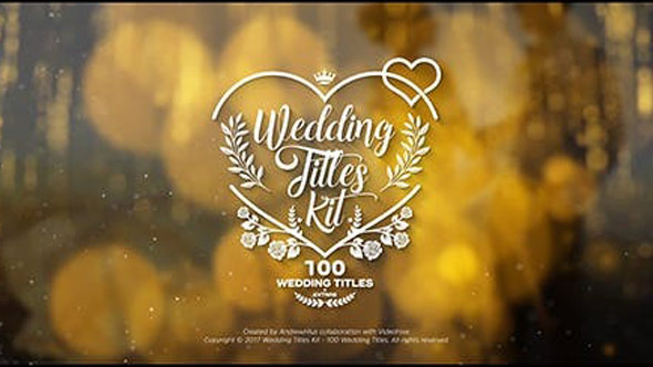 AE模板-100组浪漫婚礼文字标题漏光粒子背景动画工具包 Wedding Titles Kit