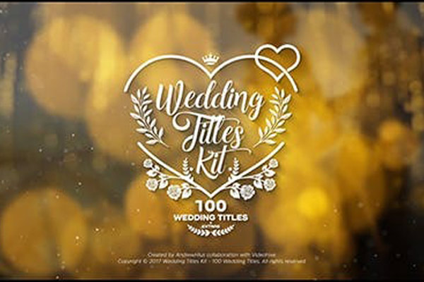 AE模板-100组浪漫婚礼文字标题漏光粒子背景动画工具包 Wedding Titles Kit