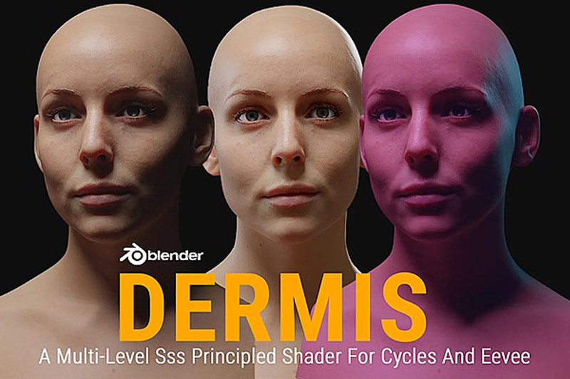 Blender预设-真实皮肤着色器 Dermis Shader v1.1 – A Multi-Level Sss Principled Shader For Cycles