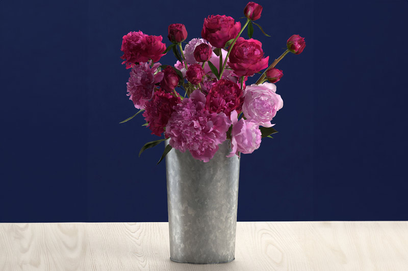 3D模型-牡丹花模型花卉模型花瓶模型下载