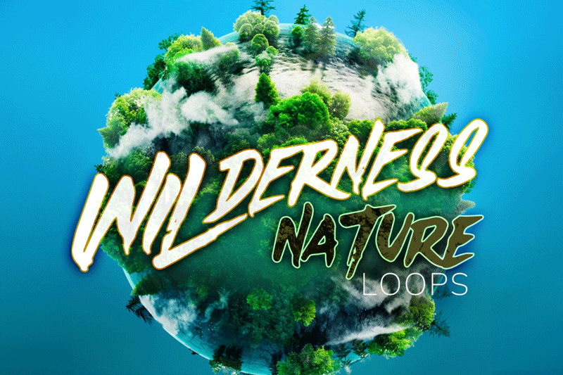 音效素材-200个森林小溪河流鸟叫自然环境无损音效  Wilderness Nature Loops