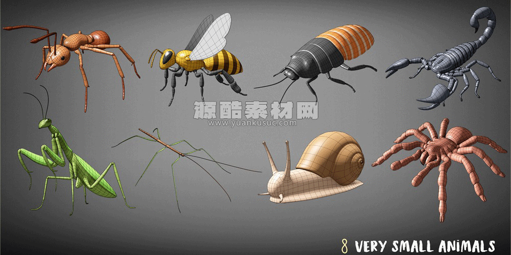 Blender100种低多边形动物3D模型下载Animals Base Meshes