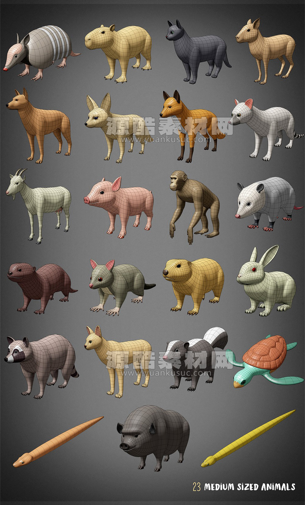 Blender100种低多边形动物3D模型下载Animals Base Meshes