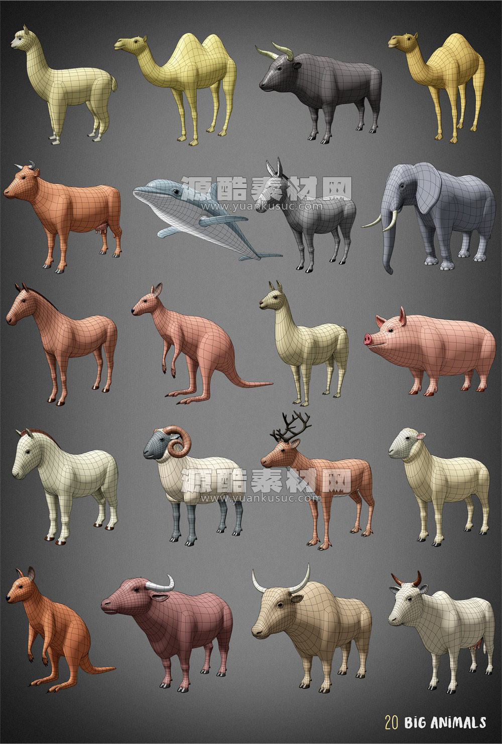 Blender100种低多边形动物3D模型下载Animals Base Meshes