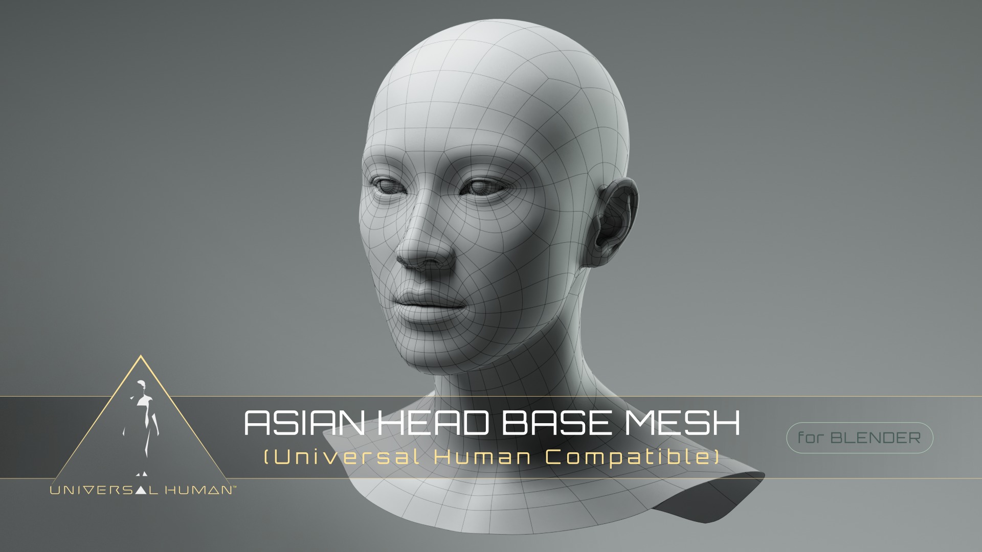 Blender男性头部3D模型 Universal Human Asian Head Base Mesh v2.1