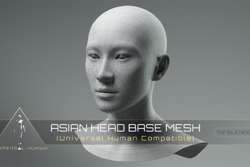 Blender男性头部3D模型 Universal Human Asian Head Base Mesh v2.1