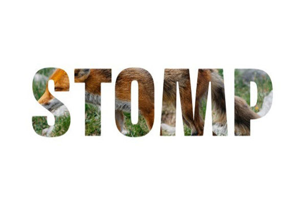 AE模板-镂空图文快闪视频开场介绍动画 New Fast Intro