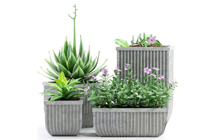 公园绿植盆栽模型户外绿植3D模型 (C4D,FBX) 3D model of plants