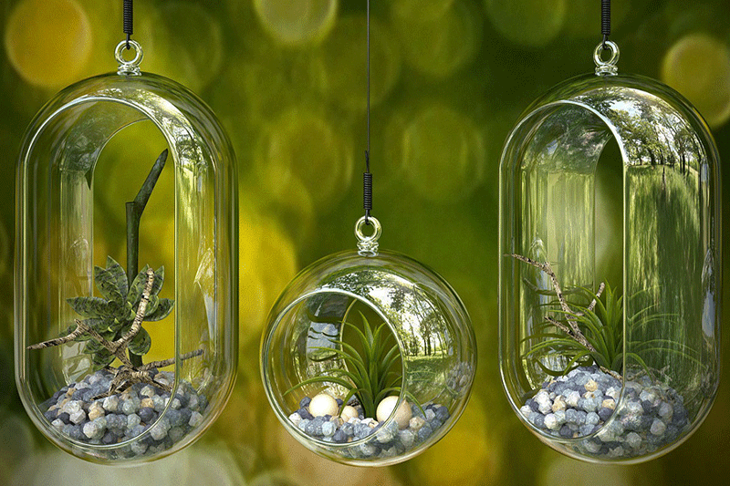 玻璃吊兰模型绿植盆栽模型3D模型 (C4D,FBX) Bowl plant free 3D model