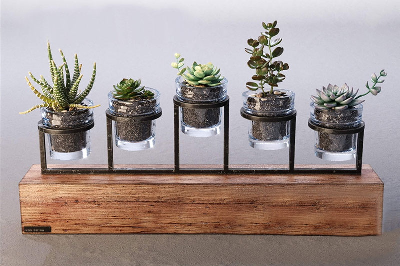 多肉模型盆栽模型3D模型 (C4D,FBX,Blender)