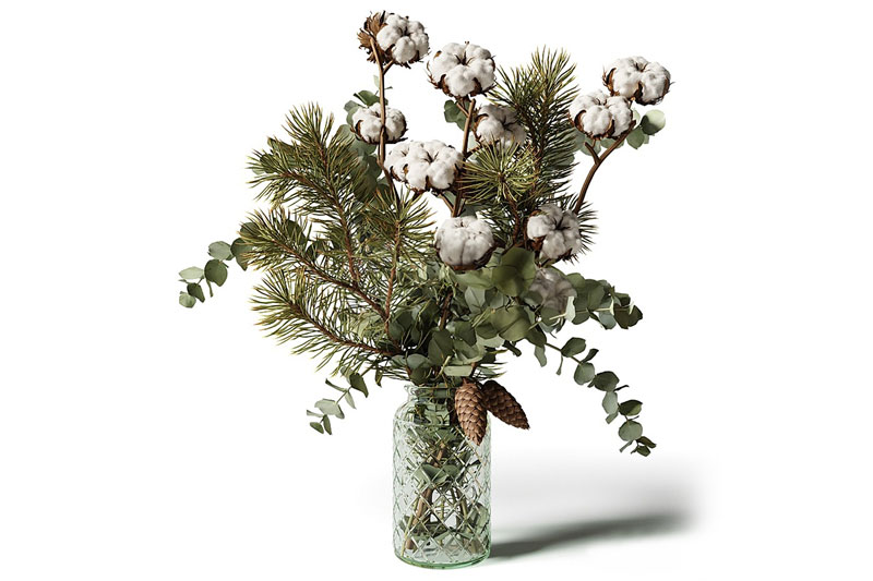 棉花模型棉花盆栽模型3D模型 (C4D,FBX,Blender)