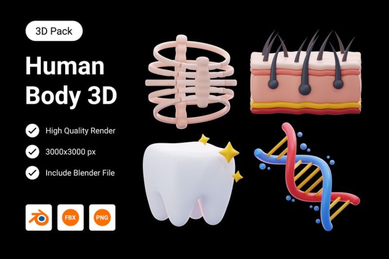 卡通人体3D图标模型素材(Blend,FBX,PNG) human-body-3d-illustration