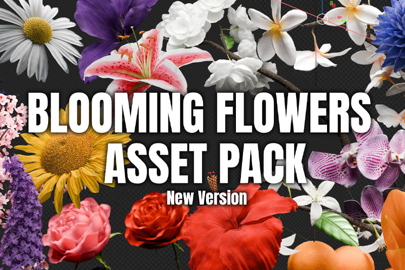Blender预设-花朵开花动画模型资产预设 Blooming Flowers V2