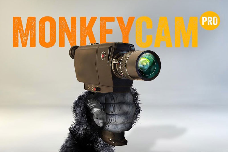 AE脚本-摄像机动画运动控制工具 MonkeyCam Pro v1.09 Win/Mac + 使用教程