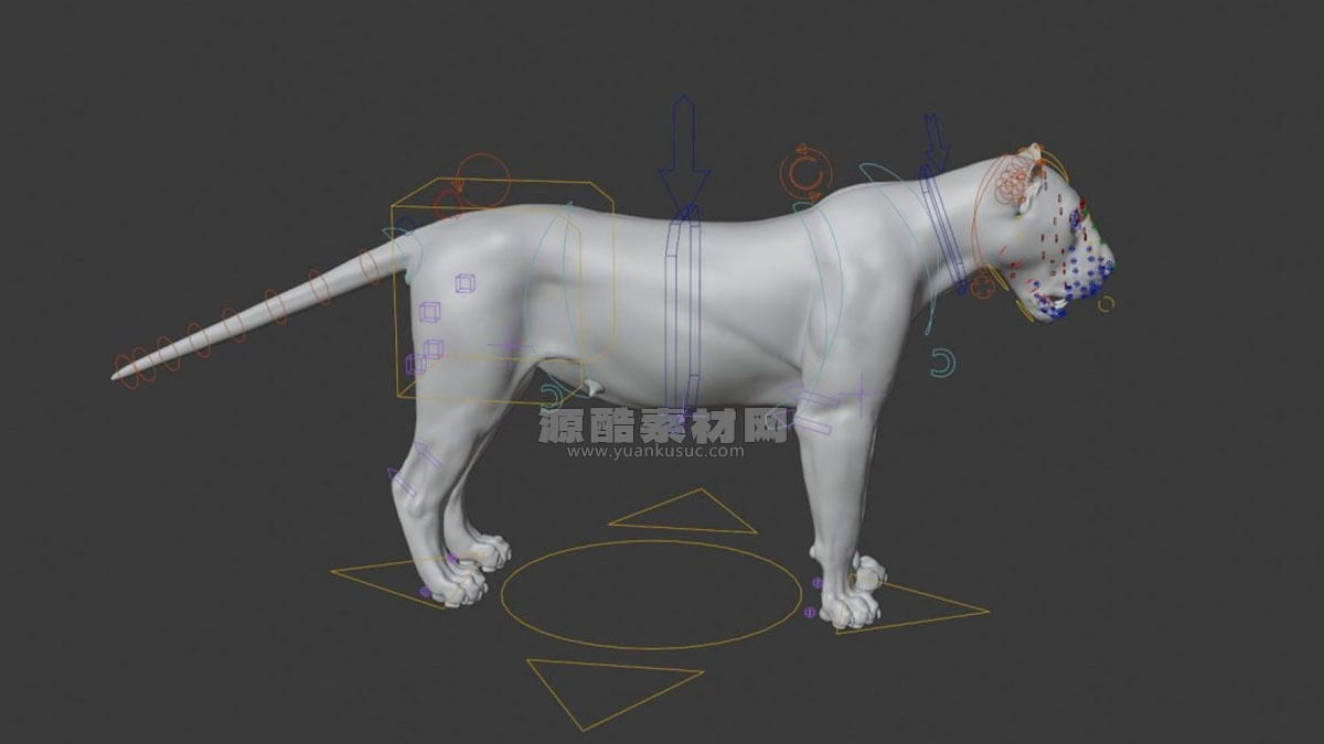 带绑定的雌性狮子模型动物3D模型 (Blend/OBJ格式) Female Lion Rigged VFX Grace 3D model