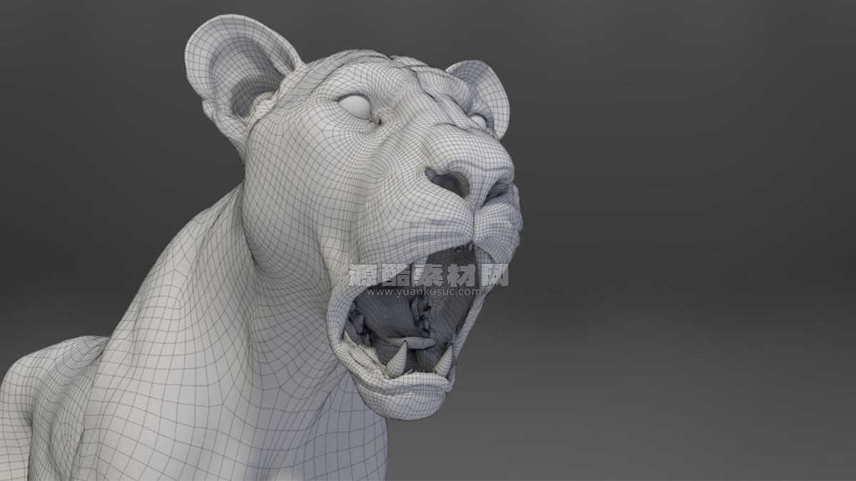 带绑定的雌性狮子模型动物3D模型 (Blend/OBJ格式) Female Lion Rigged VFX Grace 3D model