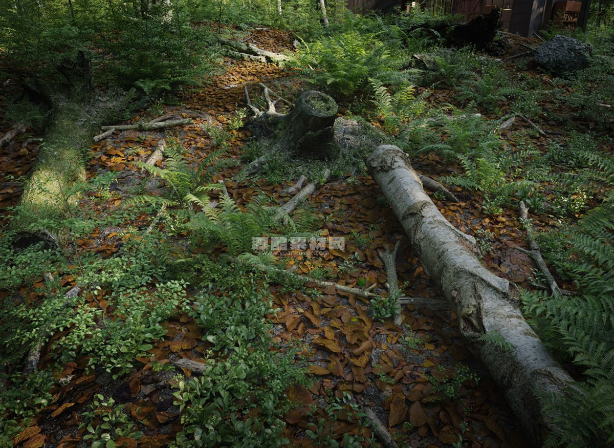 Blender森林现代房屋场景模型3D模型资产 15Th Anniversary Scene For