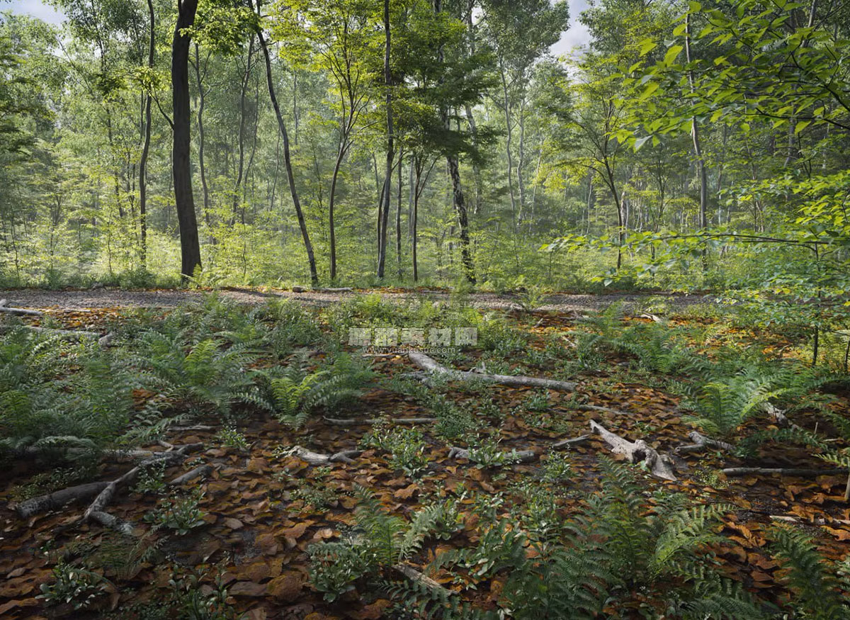 Blender森林现代房屋场景模型3D模型资产 15Th Anniversary Scene For