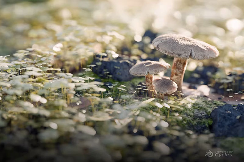 Blender灌木丛木头蘑菇模型3D模型资产库 Undergrowth | Asset Library 4K+8K