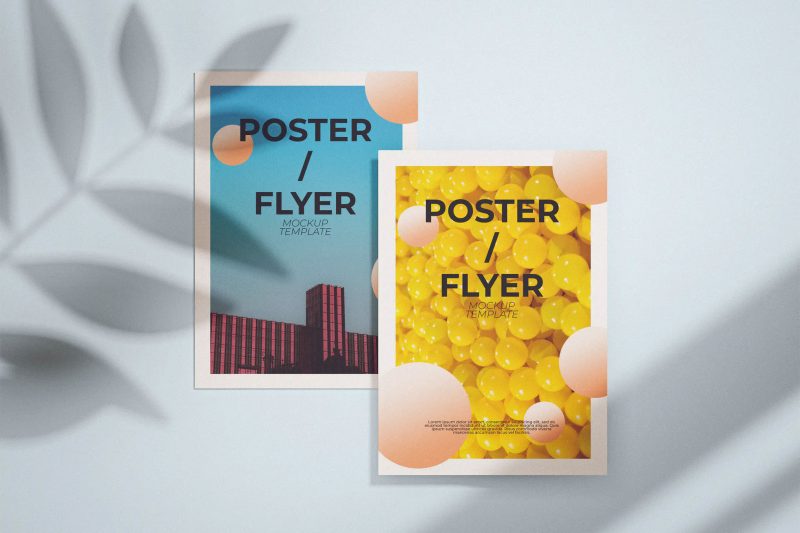 带叶影的简单海报样机素材 (PSD) simple-poster-mockup-template-with-leaf-shadow