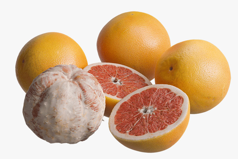 柚子模型水果模型3D模型 (C4D,FBX)