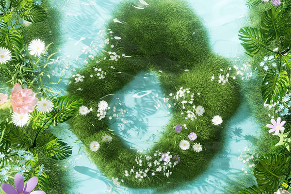 C4D小清新植物场景渲染工程植物模型C4D模型