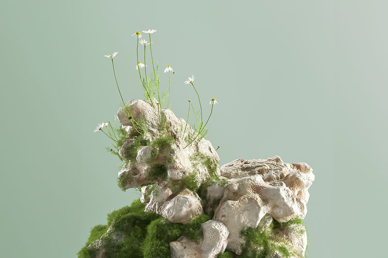 C4D植物石头绿色展台场景渲染工程电商展台C4D模型