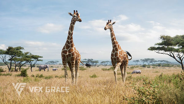 长颈鹿绑定动画模型3D模型 (Blender) Giraffe Animated – VFX Grace