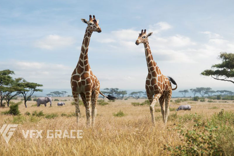 长颈鹿绑定动画模型3D模型 (Blender) Giraffe Animated – VFX Grace