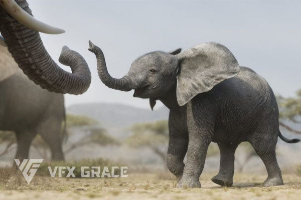 Blender非洲大象绑定动画模型3D模型 African Elephant Animated – VFX Grace
