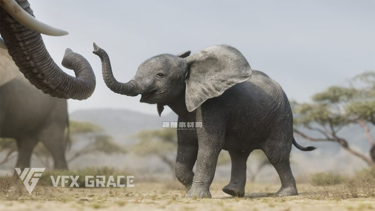 Blender非洲大象绑定动画模型3D模型 African Elephant Animated – VFX Grace