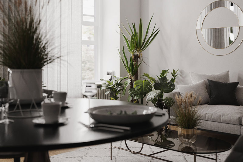 室内盆栽植物场景动画3D模型 (Blend) iMeshh – Full Plant Scene