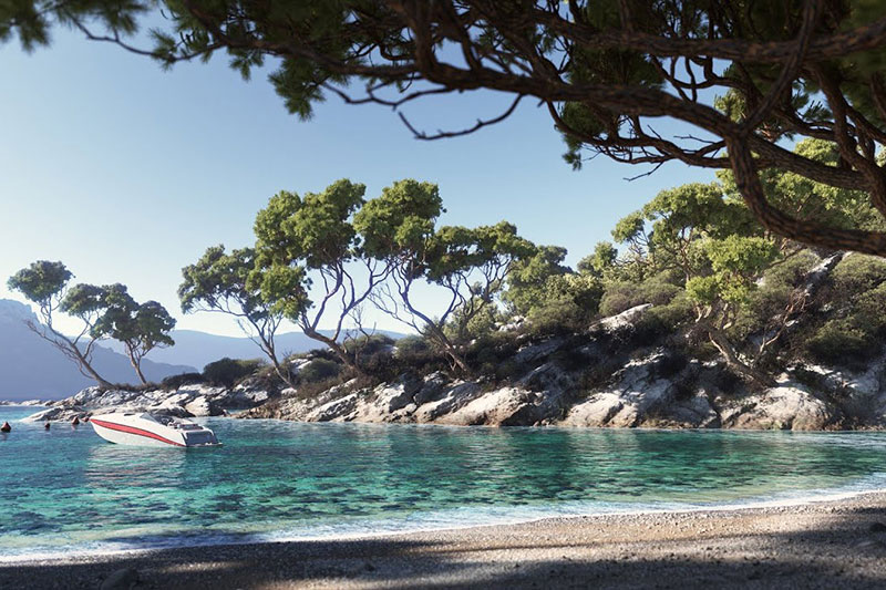 72个地中海植物树木模型3D模型 (3DS MAX格式) Evermotion – Archmodels Vol.269