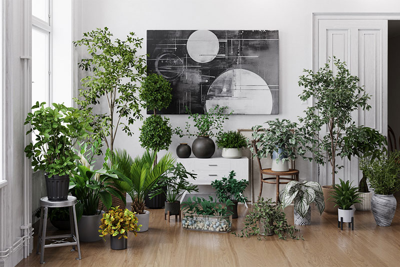 室内盆栽植物模型3D模型 (3DS MAX格式) Evermotion – Archmodels Vol.280