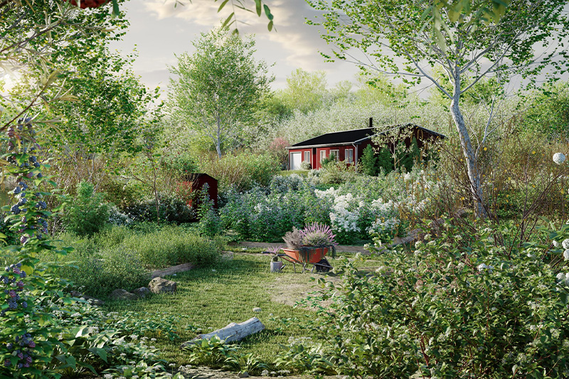 瑞典欧洲树木植物模型3D模型 (3DS MAX) Globe Plants – Bundle 44