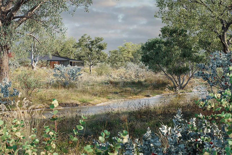 花园景观桉树植物模型3D模型 (3DS MAX）Globe Plants – Bundle 62