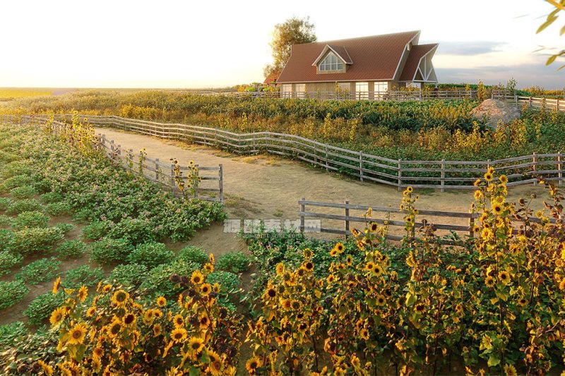 英国家居花园树木灌木植被模型3D模型 (3DS MAX) Globe Plants – Bundle 53