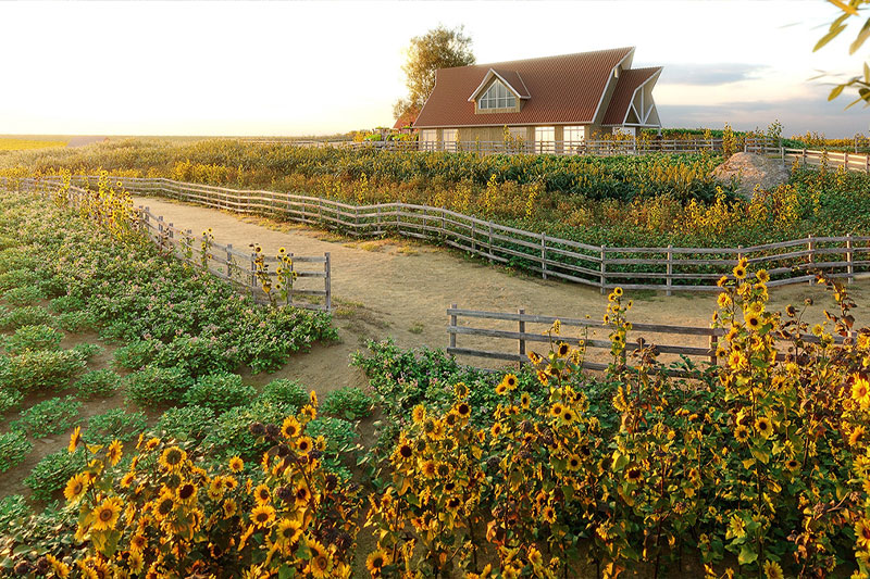 农场农作植物模型3D模型 (3DS MAX) Globe Plants – Bundle 54