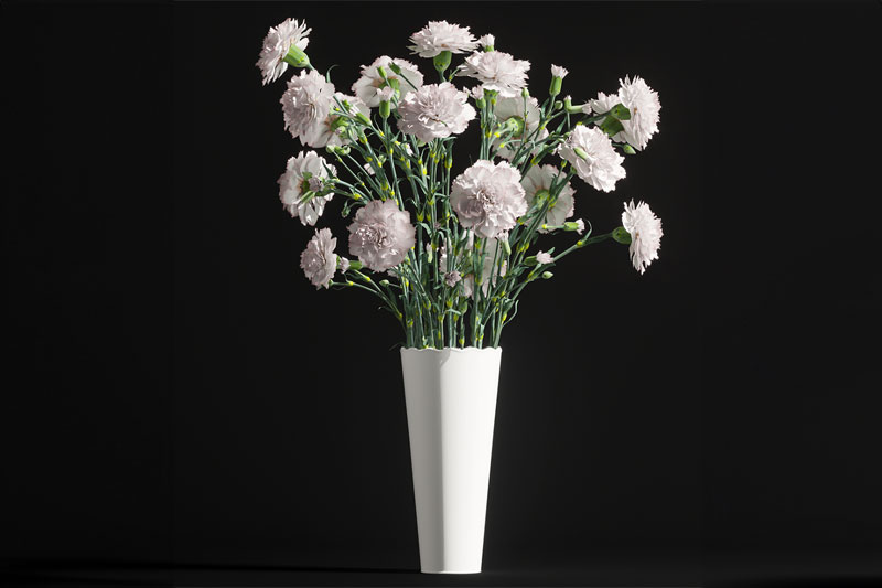 康乃馨模型鲜花模型3D模型 (C4D,Blender,FBX)