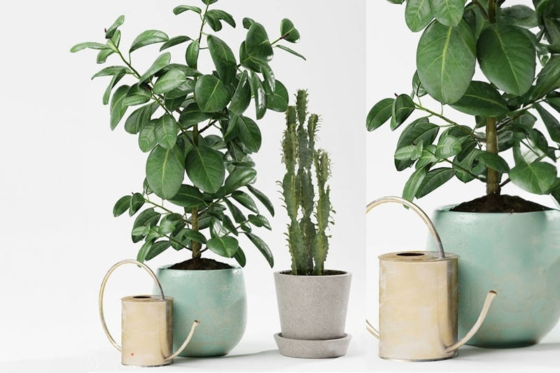 落地盆栽模型绿植模型3D模型 (C4D,Blender,FBX)