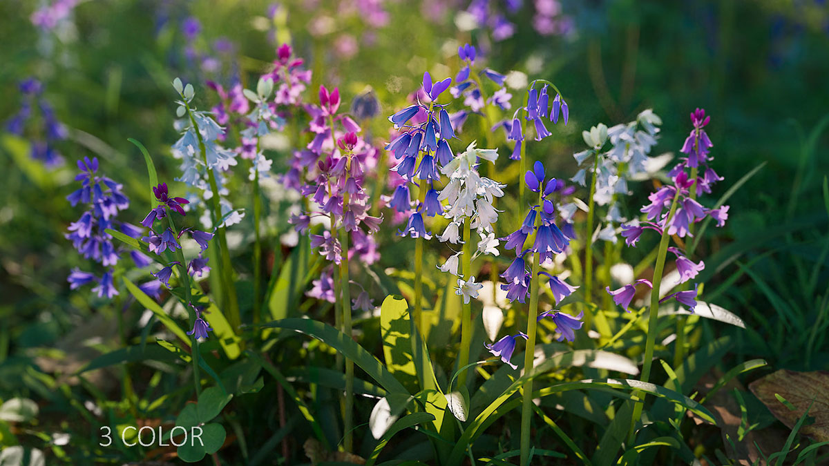 35种低多边形蓝铃花植物模型3D模型 (Blend/FBX/OBJ格式) Bluebell Pack vol05 Low-poly 3D model