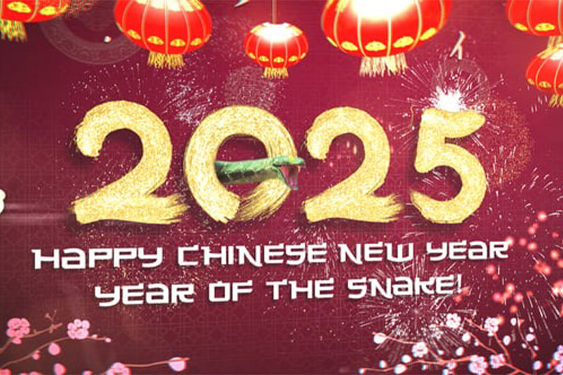 AE2025蛇年新年快乐祝福开场片头模板 Chinese New Year Celebration