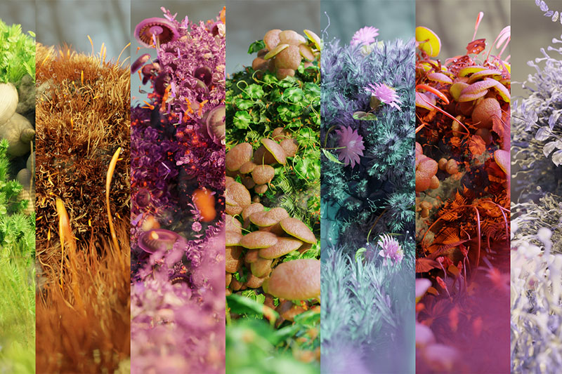 Blender奇幻苔藓场景微观模型生成器预设资产 Mossify Full+中文教程