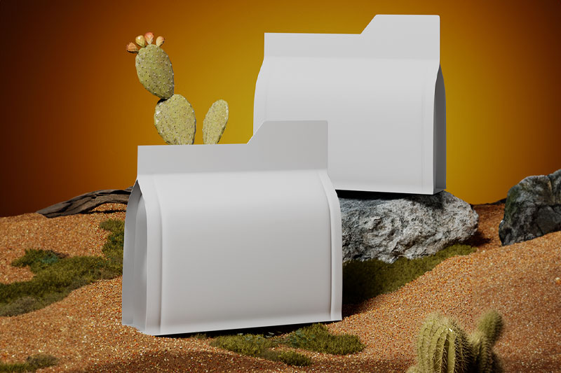 C4D产品包装沙漠场景渲染工程仙人球仙人掌C4D模型
