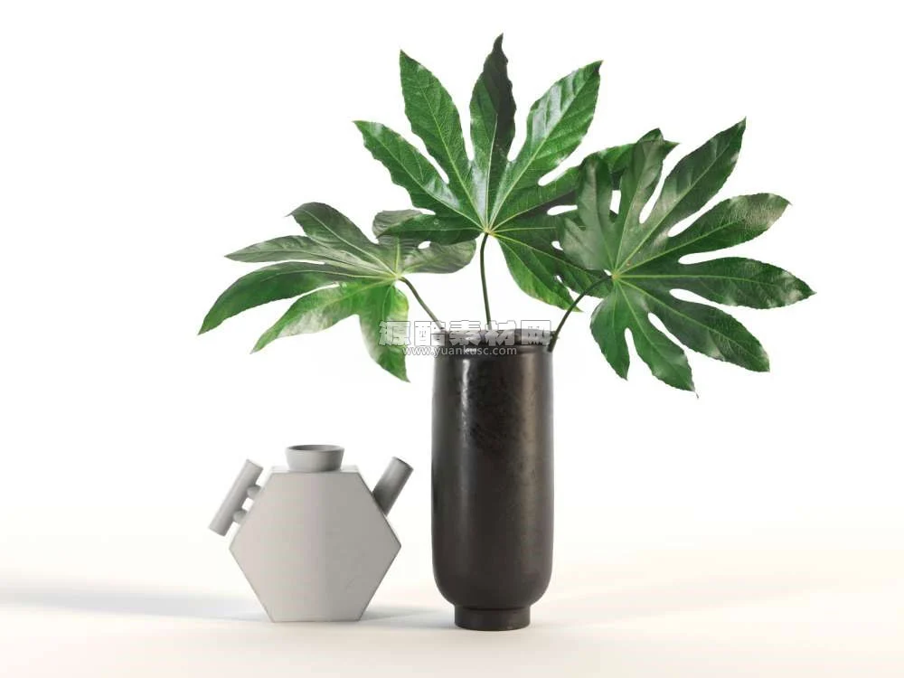 盆栽模型花瓶摆件装饰模型3D模型 (C4D,FBX)